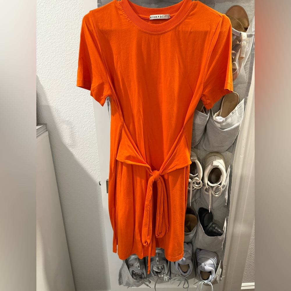Alice + Olivia Tie Dress